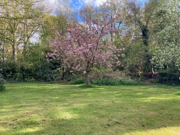 Medium property photo - Voorweg 13, 1871 CK Schoorl